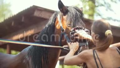 在一个阳光明媚的日子里，年轻的女人在动物农场用水清洗一匹马。 嘴巴闭起来